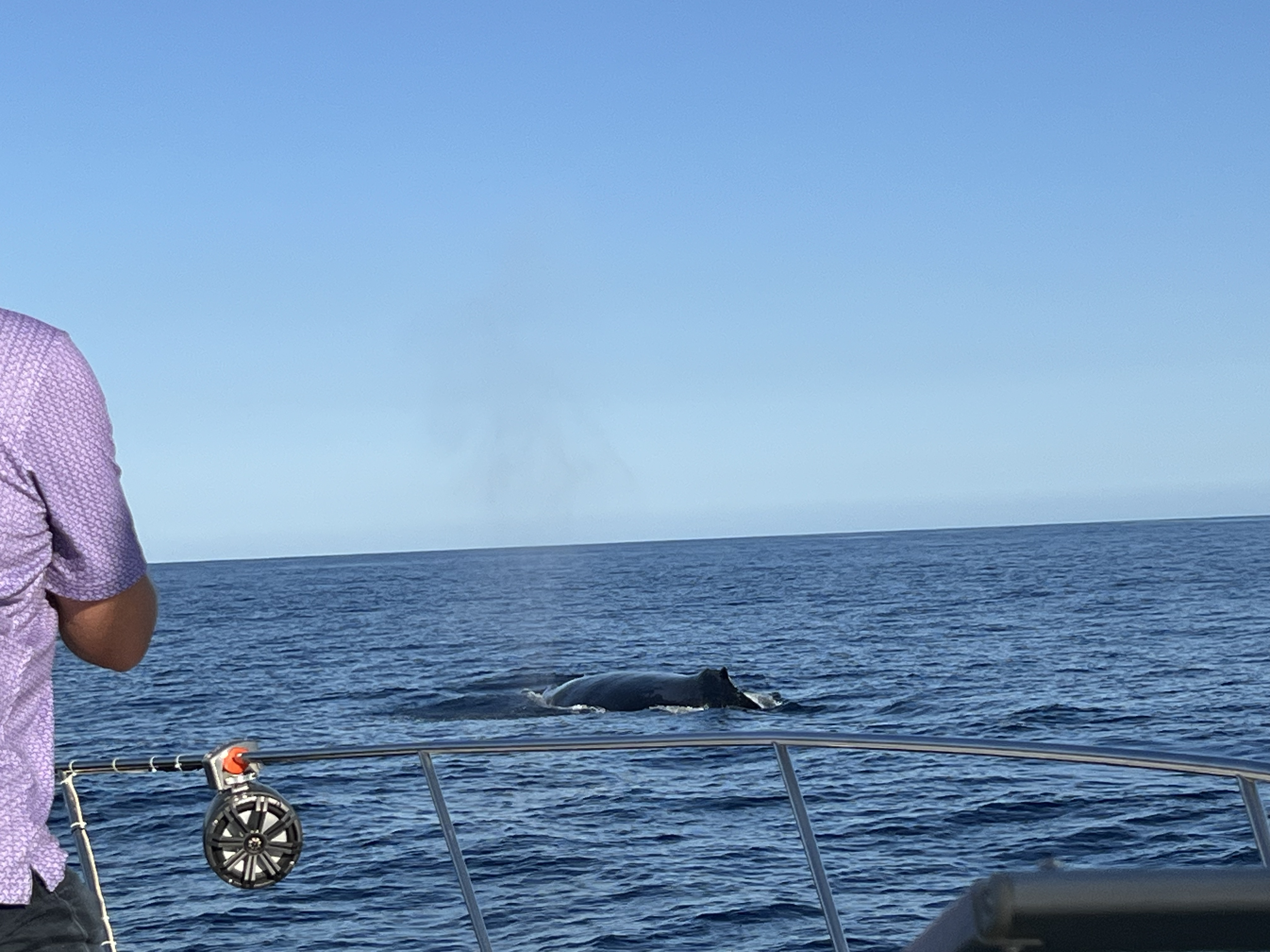 ./2024/13 - Cabo/IMG_4704.jpg